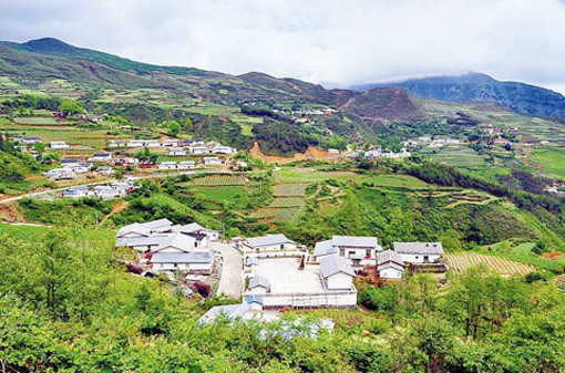 �������Y