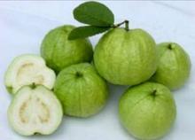 �������Y