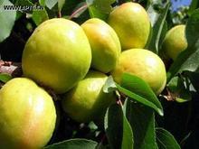 �������Y