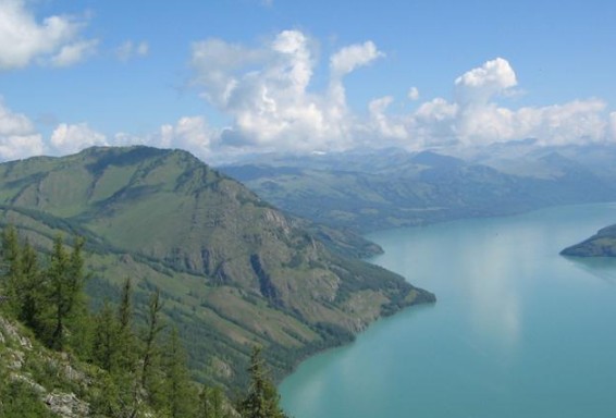 �������Y