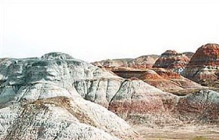 �������Y