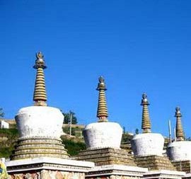 �������Y