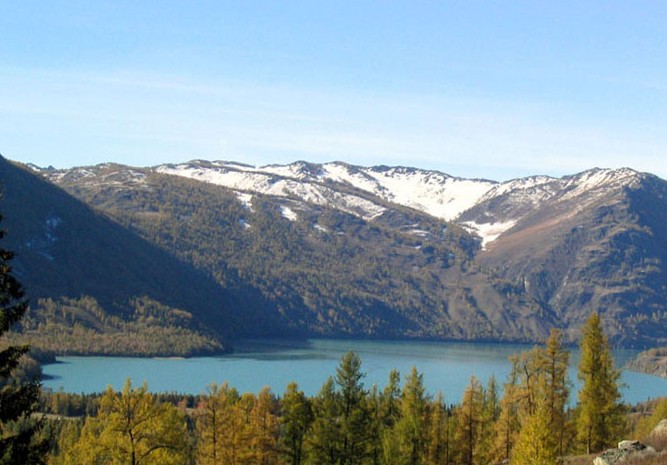 �������Y