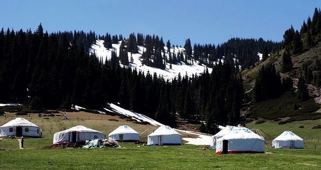 �������Y