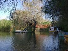 �������Y