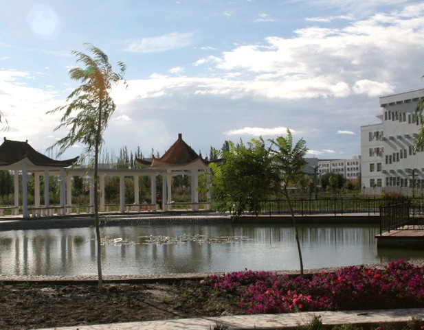 �������Y