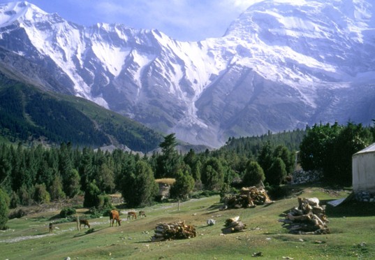 �������Y