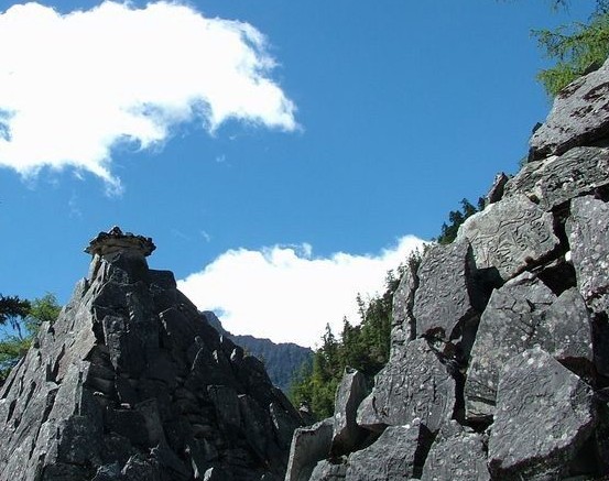 �������Y