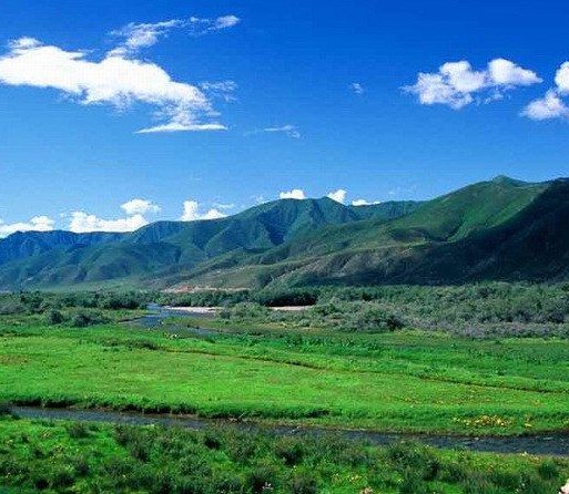 �������Y