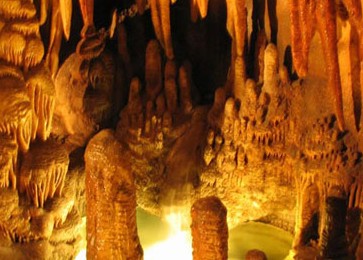 �������Y