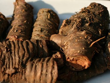 �������Y