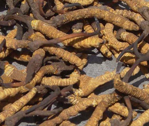 �������Y