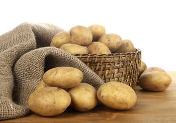 �������Y