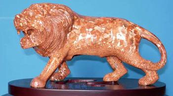 �������Y