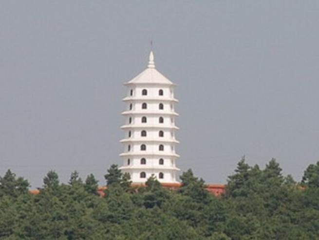 �������Y