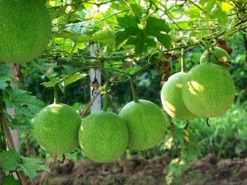 �������Y