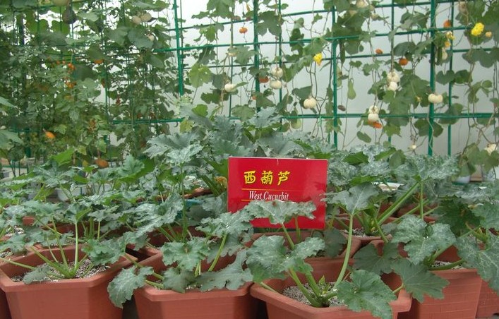 �������Y