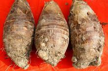 �������Y