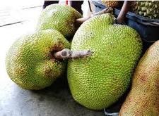 �������Y