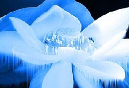 �������Y