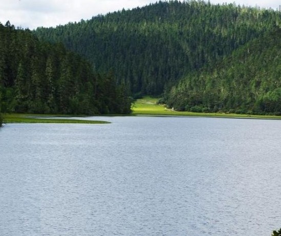 �������Y