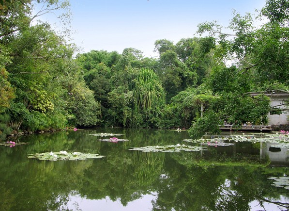 �������Y