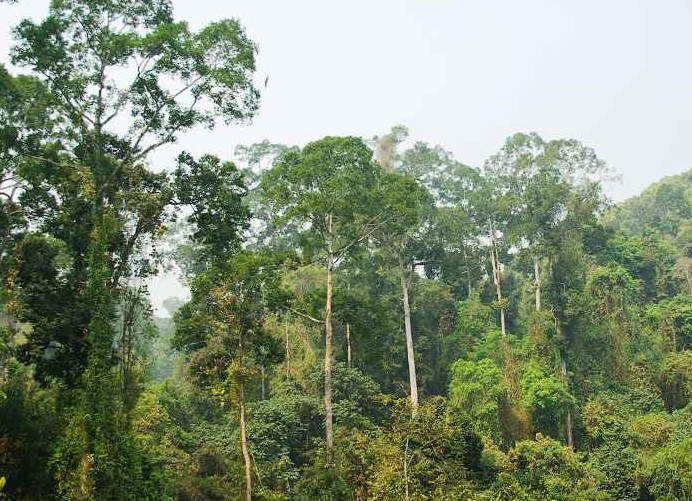 �������Y