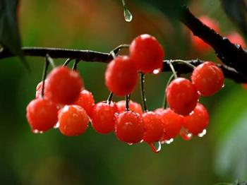 �������Y