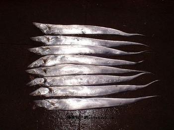 �������Y