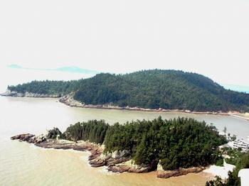 �������Y