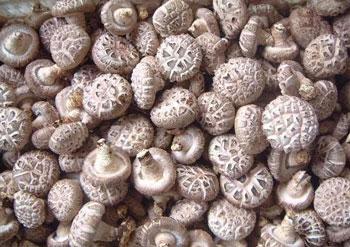 �������Y